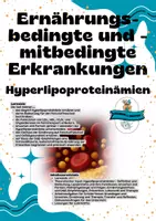 Vorschau - Arbeitsblätter - Ernährungsbedingte und -mitbedingte Erkrankungen Hyperlipoproteinämien - Deckblatt