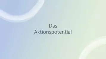 Vorschau - Interaktives Material - Warm up: Aktionspotential - Seite 2
