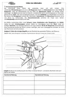 Vorschau - Arbeitsblätter - 🛡 Ritter im Mittelalter – Ausbildung, Leben & Rüstung - Seite 2