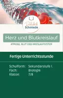 Vorschau - Stundenentwürfe - Herz und Blutkreislauf | Fertige Unterrichtsstunde | Biologie - Deckblatt