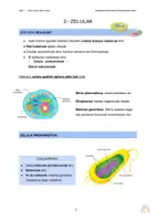 Vista previa - Unidades / Secuencias / Situaciones de Aprendizaje - BIOSFERA (apunteak) - DBH 1 - página 2