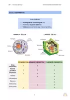 Vista previa - Unidades / Secuencias / Situaciones de Aprendizaje - BIOSFERA (apunteak) - DBH 1 - página 3