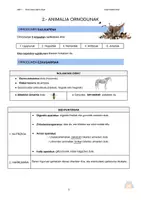 Vista previa - Unidades / Secuencias / Situaciones de Aprendizaje - IZAKI BIZIDUNAK (apunteak) - DBH1 - página 3