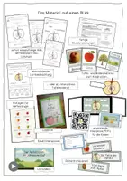 Vorschau - Stundenentwürfe - Der Apfel - Unterrichtseinheit für Klasse 1 und 2 - Seite 2