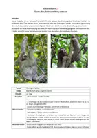 Vorschau - Klassenarbeiten - Klassenarbeit Tierbeschreibung: Dreifinger-Faultier - Seite 1