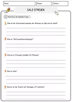 Vorschau - Arbeitsblätter - Salz streuen Arbeitsblätter mit Fragen + Lösungen Deutsch DaZ AB - Seite 3