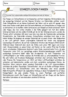 Vorschau - Arbeitsblätter - Schneeflocken fangen Arbeitsblätter mit Fragen + Lösungen Deutsch DaZ AB - Seite 1