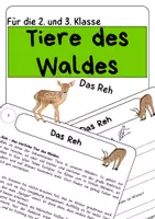 Vorschau - Stundenentwürfe - Materialpaket - Tiere des Waldes. Sachtexte / Lesetexte und Aufgaben für die zweite und dritte Klasse - Seite 1
