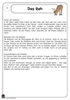 Vorschau - Stundenentwürfe - Materialpaket - Tiere des Waldes. Sachtexte / Lesetexte und Aufgaben für die zweite und dritte Klasse - Seite 3