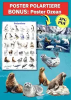 Vorschau - Poster - Polartiere entdecken – 2 Lernposter zu Arktis & Antarktis im DIN A4/A3 Format für Kita & Schule - Deckblatt