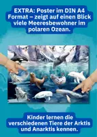 Vorschau - Poster - Polartiere entdecken – 2 Lernposter zu Arktis & Antarktis im DIN A4/A3 Format für Kita & Schule - Seite 2
