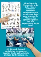 Vorschau - Poster - Polartiere entdecken – 2 Lernposter zu Arktis & Antarktis im DIN A4/A3 Format für Kita & Schule - Seite 3