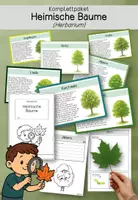 Vorschau - Arbeitsblätter - Wissenskartei & Herbarium - Heimische Bäume - Deckblatt