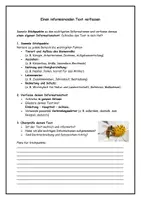 Vorschau - Stundenentwürfe - Sachtext "Die Honigbiene" - einen informierenden Text verfassen - Seite 3