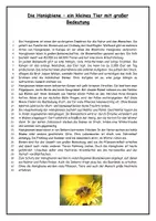 Vorschau - Stundenentwürfe - Sachtext "Die Honigbiene" - einen informierenden Text verfassen - Seite 1