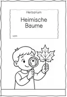 Vorschau - Arbeitsblätter - Komplettpaket: Heimische Bäume - Herbarium - Seite 1