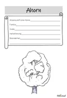 Vorschau - Arbeitsblätter - Komplettpaket: Heimische Bäume - Herbarium - Seite 2