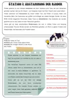 Vorschau - Mal- und Bastelvorlagen - Das Rind - Stationsarbeit/Lerntheke | Unterrichtsreihe "Tiere in unserem Umfeld", Biologie, 5.-6. Klasse - Seite 1