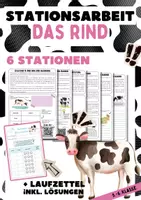 Vorschau - Mal- und Bastelvorlagen - Das Rind - Stationsarbeit/Lerntheke | Unterrichtsreihe "Tiere in unserem Umfeld", Biologie, 5.-6. Klasse - Deckblatt