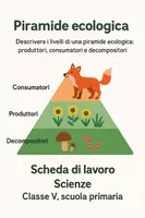 anteprima - Schede informative - Descrivere i livelli di una piramide ecologica: produttori, consumatori e decompositori. - Pagina di copertina