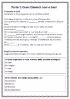 anteprima - Schede informative - Descrivere i livelli di una piramide ecologica: produttori, consumatori e decompositori. - Pagina 1