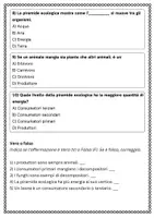anteprima - Schede informative - Descrivere i livelli di una piramide ecologica: produttori, consumatori e decompositori. - Pagina 3