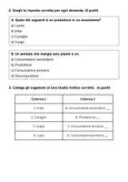 anteprima - Compiti in classe/Test - Rappresentare graficamente una piramide ecologica a partire da un ecosistema reale. - Pagina 2