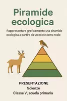 anteprima - Presentazioni / Lavagne - Rappresentare graficamente una piramide ecologica a partire da un ecosistema reale. - Pagina di copertina
