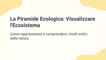 anteprima - Presentazioni / Lavagne - Rappresentare graficamente una piramide ecologica a partire da un ecosistema reale. - Pagina 1