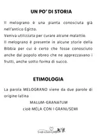 anteprima - Programmi scolastici / Materiali per docenti - LA MELAGRANA multidisciplinare - Pagina 3
