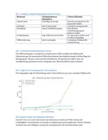 Vorschau - Arbeitsblätter - Klausur: Zellbiologie, Mehrzelligkeit, Differenzierung, Speziaisierung - Seite 2
