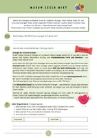 Vorschau - Stundenentwürfe - Vom Biss zur Power Dossier inkl Lösungen - Biologie (Verdauung) - Seite 3