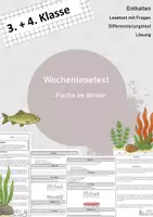 Vorschau - Arbeitsblätter - Wochenlesen - Fische im Winter - Deckblatt