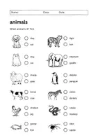 Vorschau - Unterrichtsreihen - Animals - Package: Reading, Vocabulary and more (English) - Seite 1