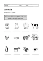 Vorschau - Unterrichtsreihen - Animals - Package: Reading, Vocabulary and more (English) - Seite 2