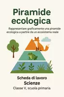 anteprima - Schede informative - Rappresentare graficamente una piramide ecologica a partire da un ecosistema reale - Pagina di copertina