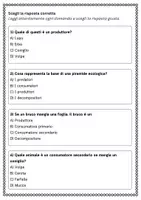 anteprima - Schede informative - Rappresentare graficamente una piramide ecologica a partire da un ecosistema reale - Pagina 2