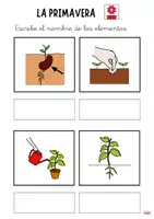 Vista previa - Refuerzo / NEE / Materiales de apoyo - Vocabulario primavera pictogramas - página 3