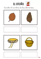 Vista previa - Refuerzo / NEE / Materiales de apoyo - Vocabulario otoño pictogramas - página 3