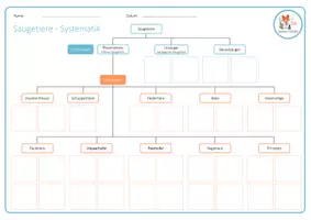 Vorschau - Arbeitsblätter - Säugetiere Systematik – Arbeitsblatt - Seite 1