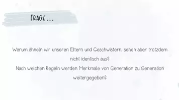 Vorschau - Unterrichtsreihen - Genetik: Mendelsche Regeln | Biologie 12 | 3 fertige Unterrichtsstunden | sofort einsetzbar - Seite 2