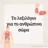 Προεπισκόπηση - Flashcards - Το λεξιλόγιο για τo ανθρώπινο σώμα - Εξώφυλλο