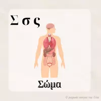 Προεπισκόπηση - Flashcards - Το λεξιλόγιο για τo ανθρώπινο σώμα - Σελίδα 1
