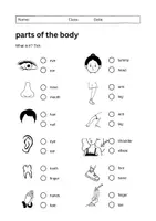 Vorschau - Arbeitsblätter - Parts of the Body Worksheet on 3 Levels: Vocabulary (English) - Seite 1