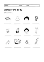 Vorschau - Arbeitsblätter - Parts of the Body Worksheet on 3 Levels: Vocabulary (English) - Seite 3