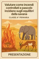 anteprima - Presentazioni / Lavagne - Pres: valutare come incendi e pascolo incidano sulla savana - Pagina di copertina