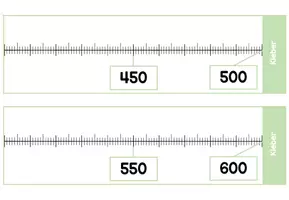 Vorschau - Bildkarten - Zahlenraum 1000: 999 Froschgeschwister Zahlenstrahl - Seite 3