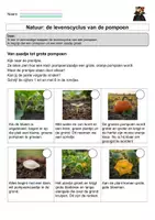 Voorbeeld - 2de lj/gr4 - WO-bundel_Halloween - Pagina 3