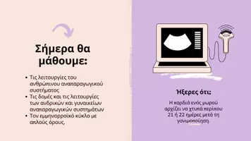 Προεπισκόπηση - Παρουσιάσεις - 🧬 Αναπαραγωγή – Ανάπτυξη | Βιολογία Α΄ Λυκείου - Σελίδα 1