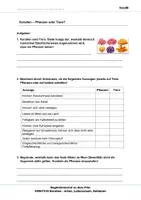 Vorschau - Arbeitsblätter - Korallen- Arbeitsblätter und Lösungen PDF - Seite 1